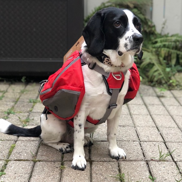 arcadia trail ultimate backpack harness